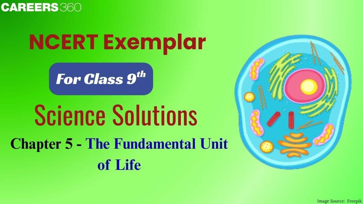 NCERT Exemplar Class 9 Science Solutions Chapter 5 The Fundamental Unit of Life